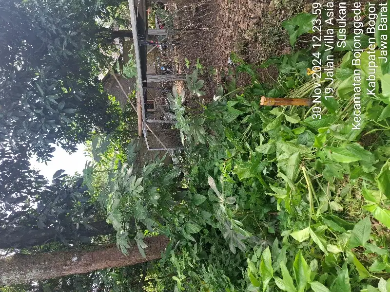dijual murah tanah kebon dekat pemda cibinong