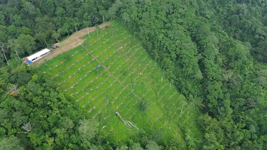 TANAH KAVLING PERKEBUNAN DUREN DI TABANAN