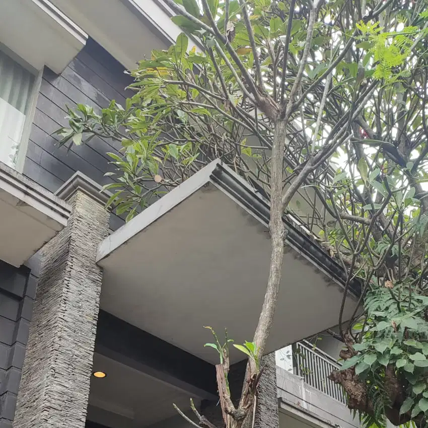 dijual rumah di PHG gading serpong cluster Shappire