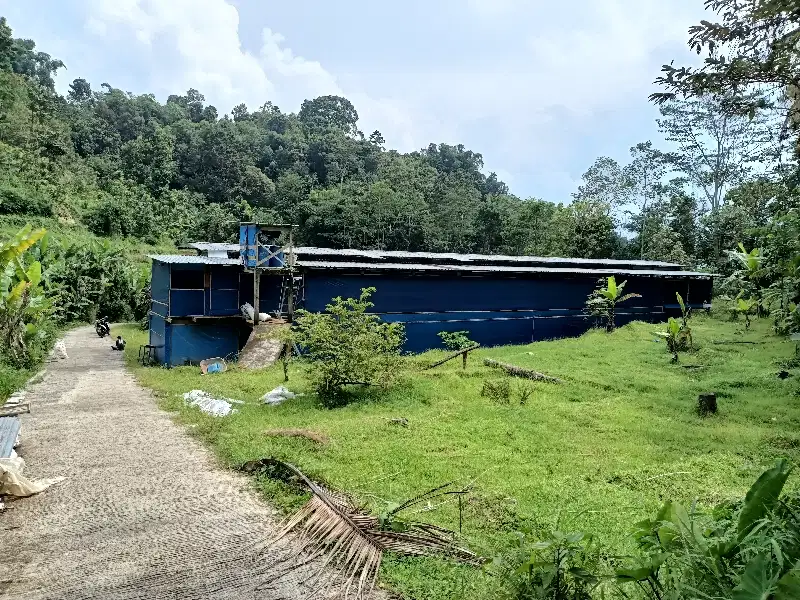 DijuaL murah kandang ayam pedaging dikarangpandan