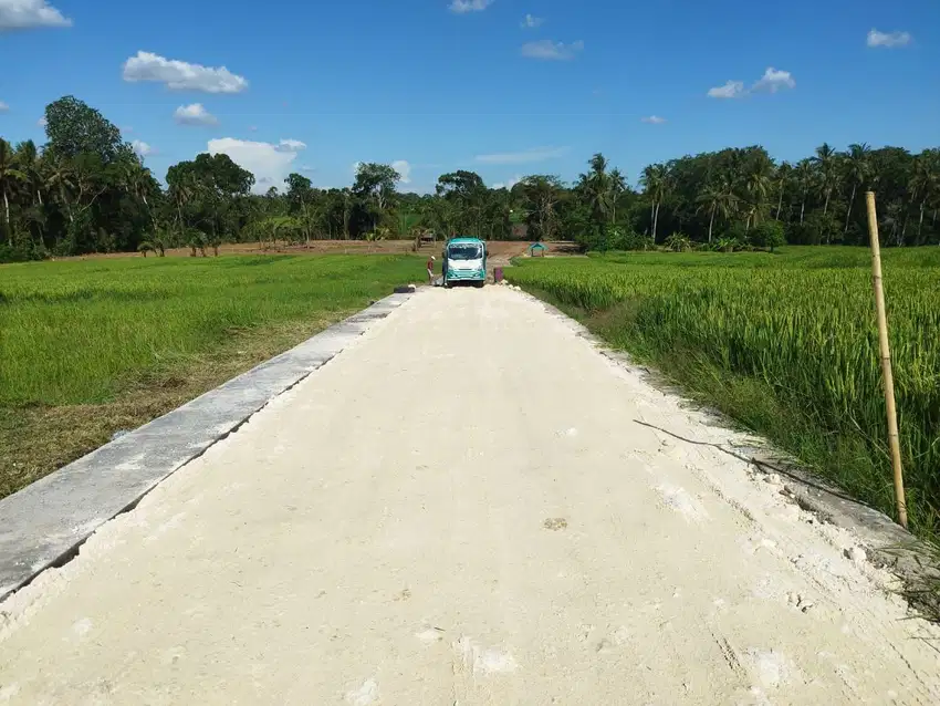Jual Tanaj Kavling-Tabanan
