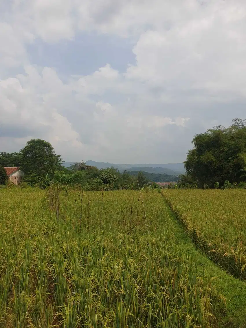 Dijual tanah kawasan purwakarta cocok untuk pergudangan