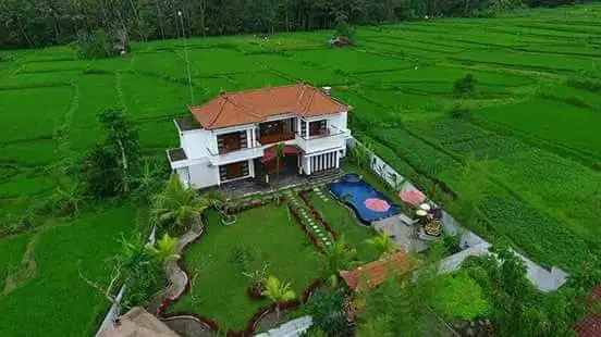villa 3 kamar ditengah sawah Pejeng Ubud