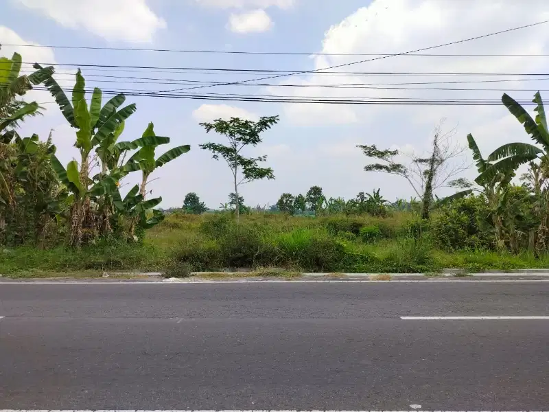 Tanah Pekarangan Pandowoharjo Utara Pertigaan Ringin