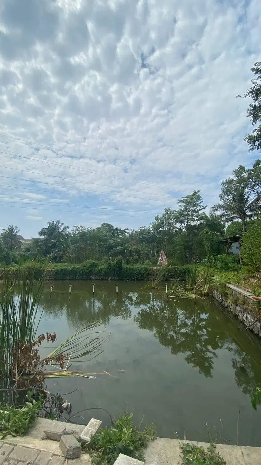 Dijual tanah di belakang banjar wijaya 3 jt/m nego
