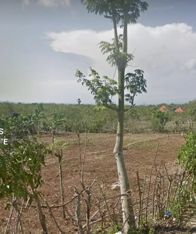Tanah Sewa 6 Are Ocean View, Pecatu