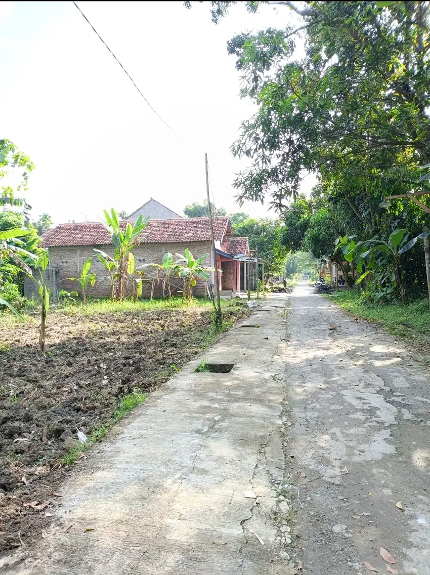 Tanah Darat Strategis & Jarang Ada Di Ketanggungan Brebes