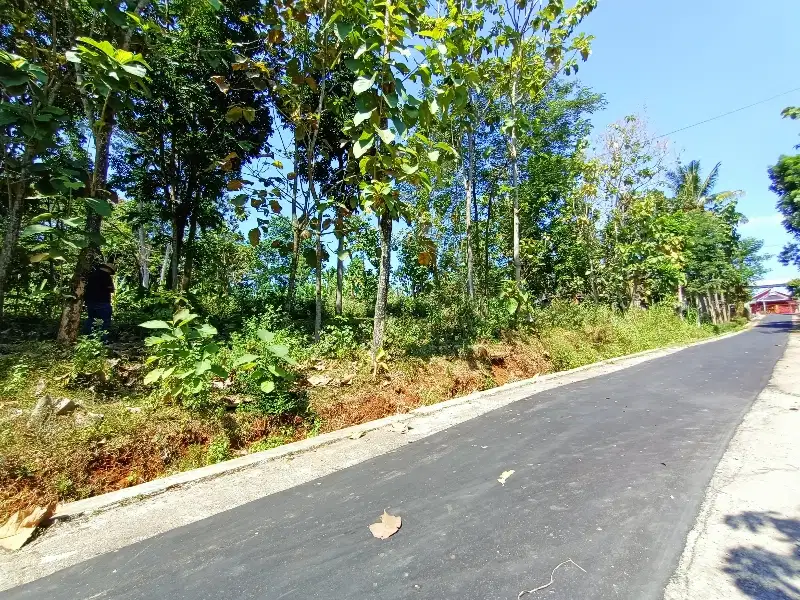 Tanah murah dimojogedang,karanganyar