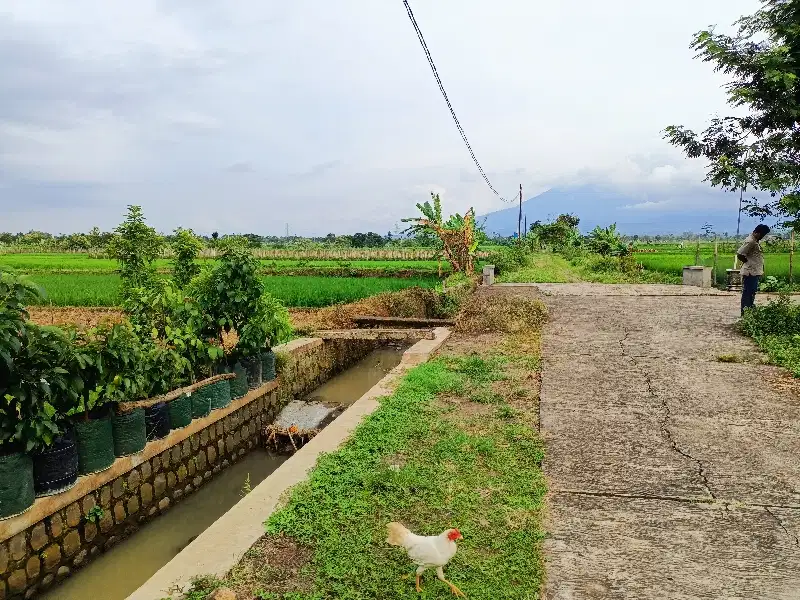 Dijual Tanah view gunung dan sawah dikedawung