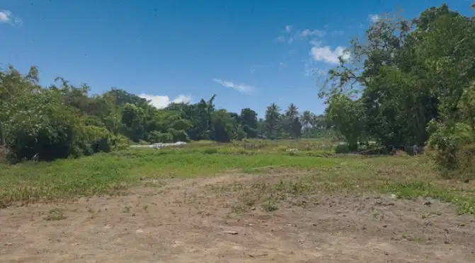 Tanah Sleman, Harga Murah, Akses Aspal Kawasan Homestay