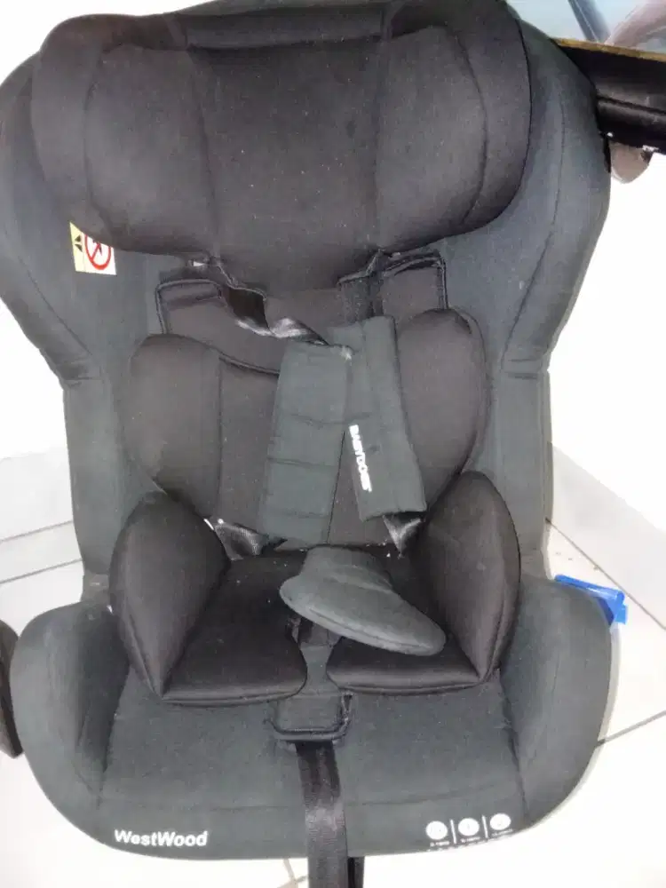 Babydoes carseat like new