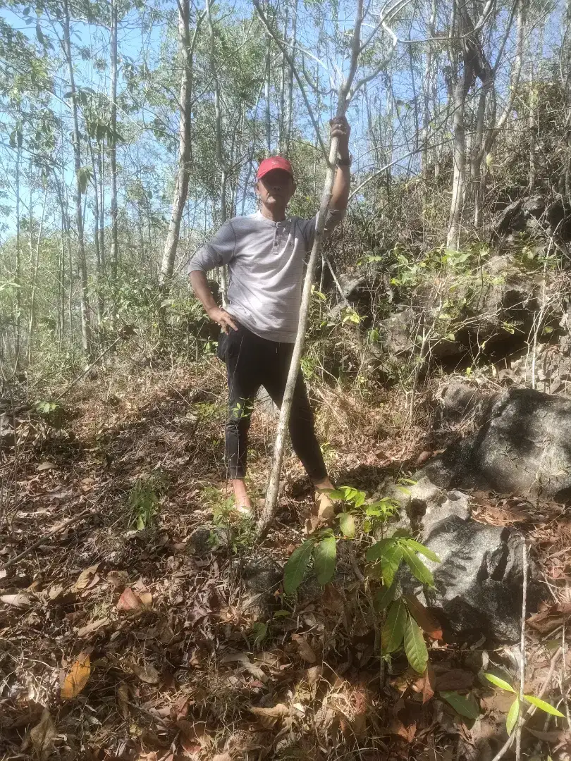Tanah ladang bukit Pagongan pinggir JJLS girijati GK