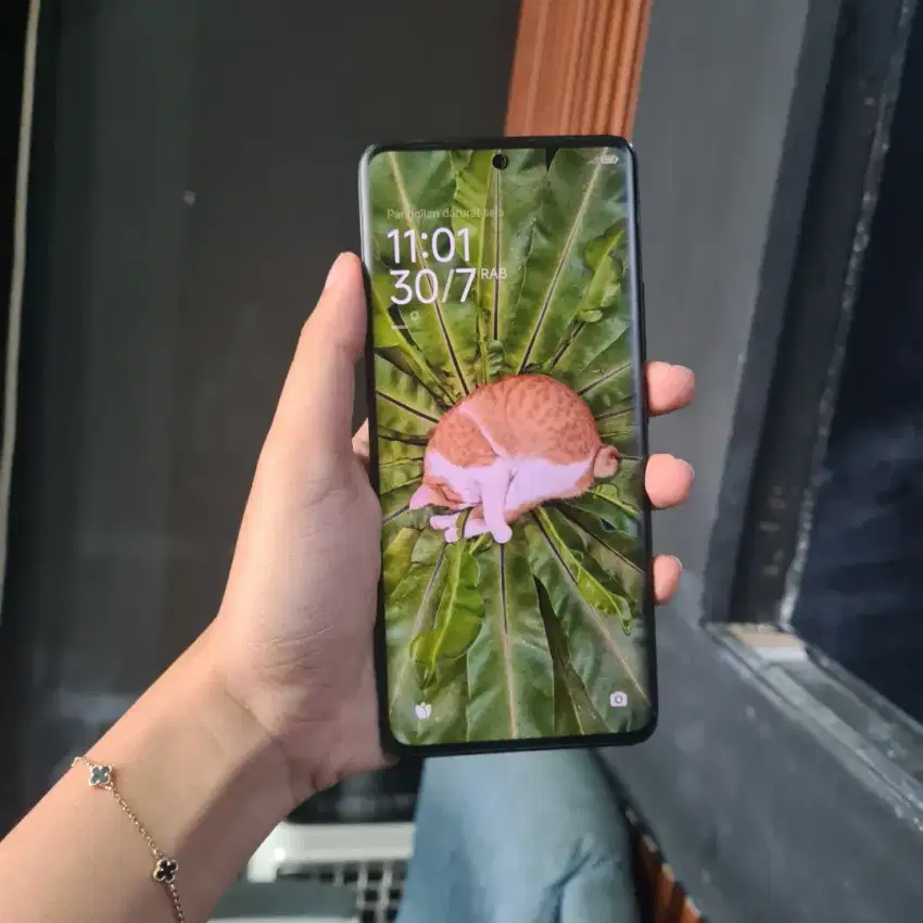 Xiaomi Redmi Note 13 Pro+ 5G 12/512