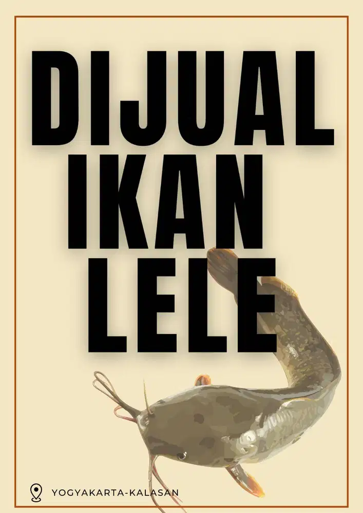 LELE SEGAR SIAP PANEN- LANGSUNG DARI KOLAM, MURAH & BERKUALITAS!