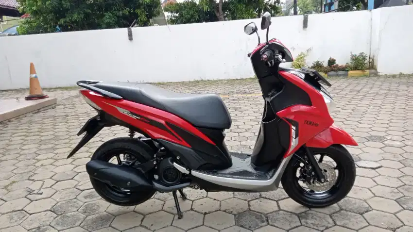 Freego Th 2023 Istimewa