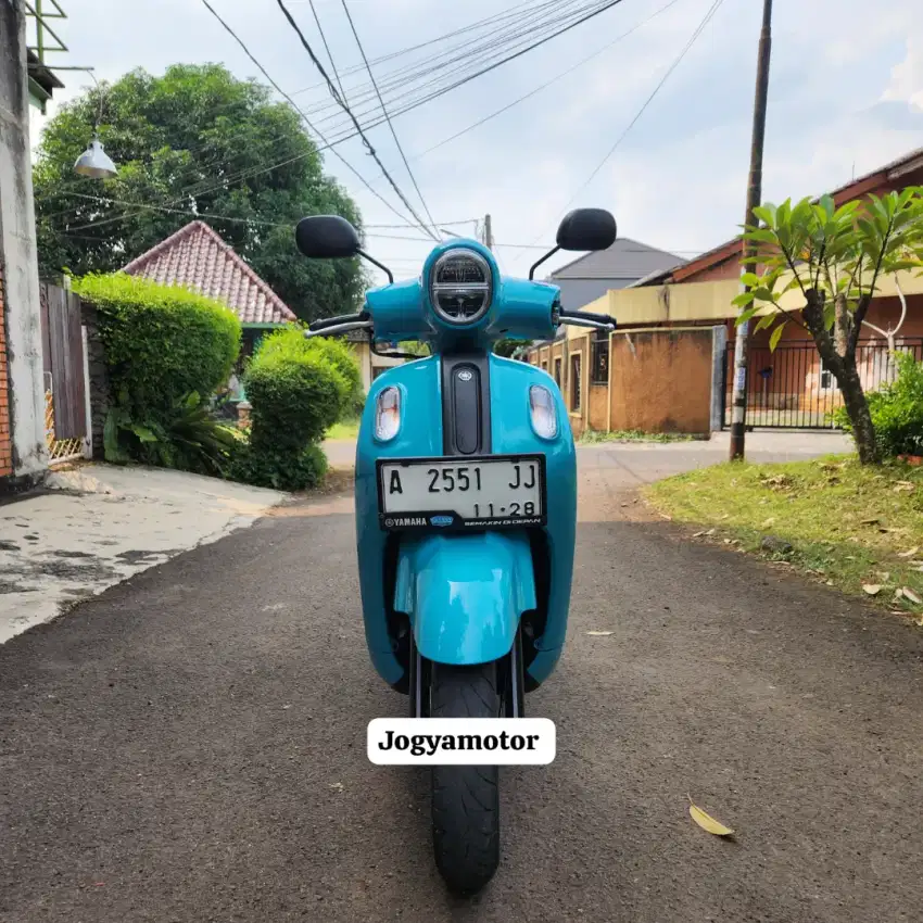 Fazzio th 2023 HARGA CUCI GUDANG
