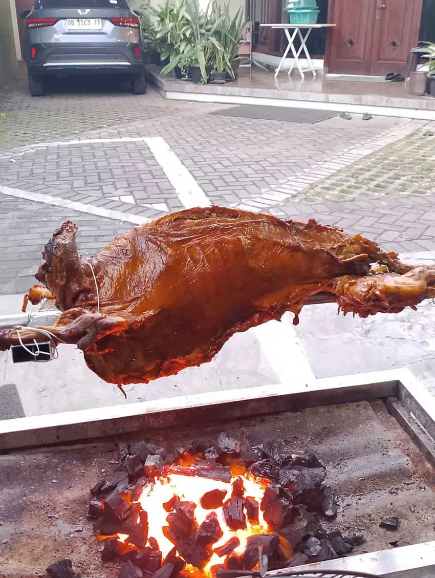 KAMBING GULING MURAH JOGJA
