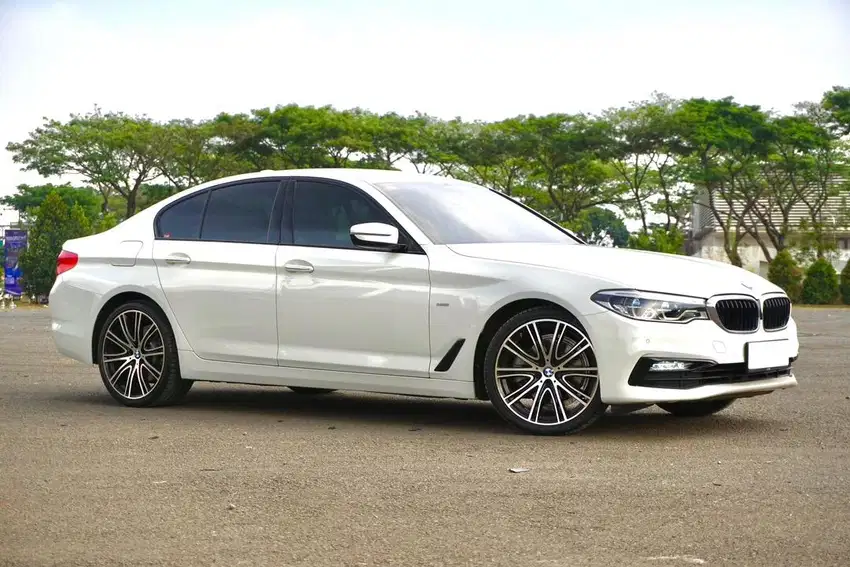 BMW 520i G30 Luxury B48 2018/2019
