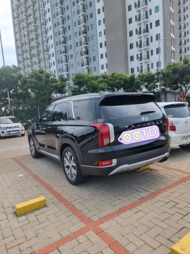 PALISADE signature 2022