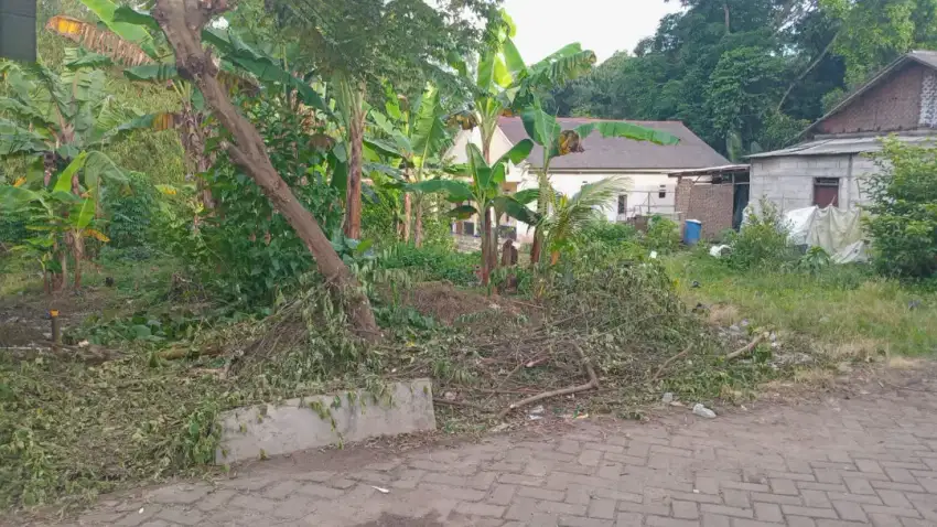 Dijual tanah segera