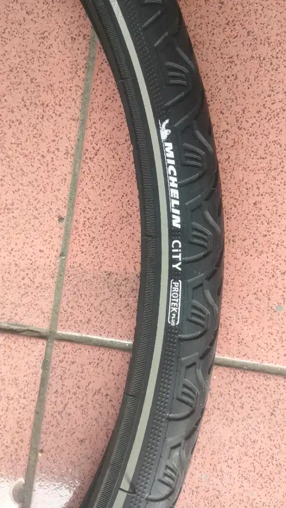Ban  Michelin City protek plus