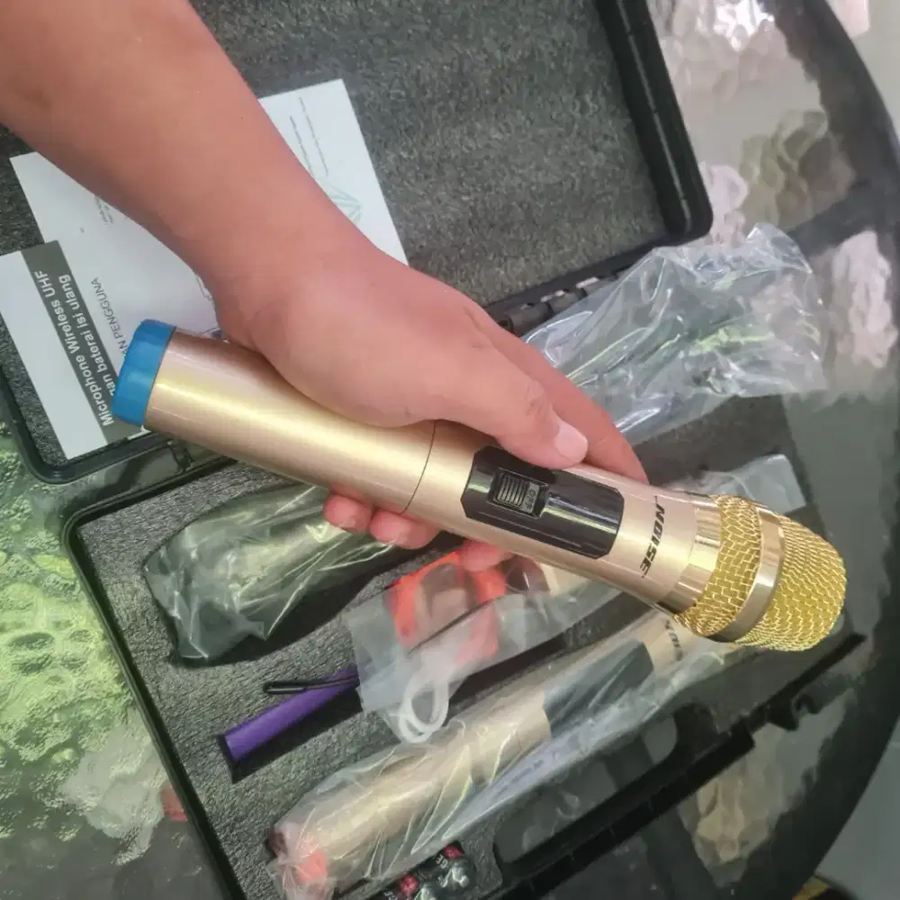 Mic wireless gold professional