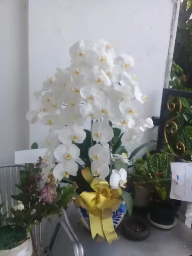 Florist Bunga Ucapan Pernikahan Ulang Tahun Dukacita