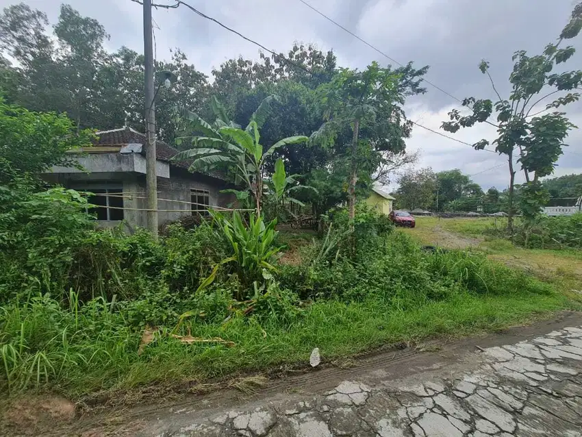 Tanah siap bangun di utara solo dekat ndalem kopi wonorejo gondangrejo