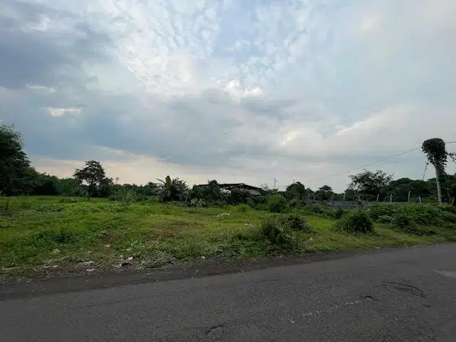Tanah Murah dijual di Rembang Pasuruan