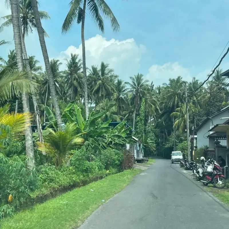 LAHAN BEACHFRONT DI PANTAI JASRI, KARANG ASEM - BALI