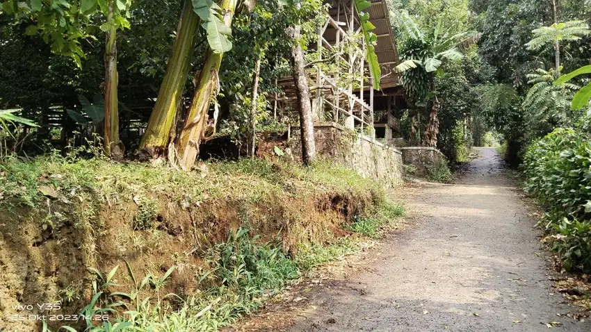 KEBUN PEMANDANGAN GUNUNG  & DEKAT SAWAH DEKAT WARGA || SEJUK BANGET.