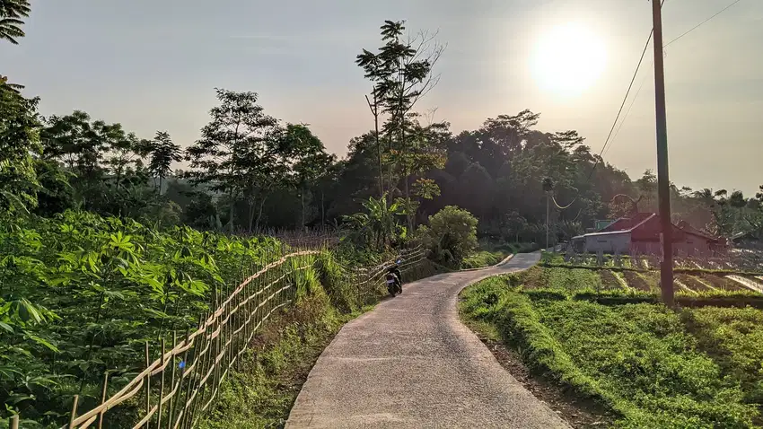 Jual tanah murah || Ketinggian 843 MDPL
