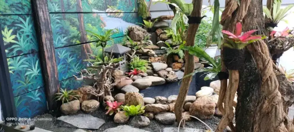 Tukang Kolam Ikan Koi Minimalis