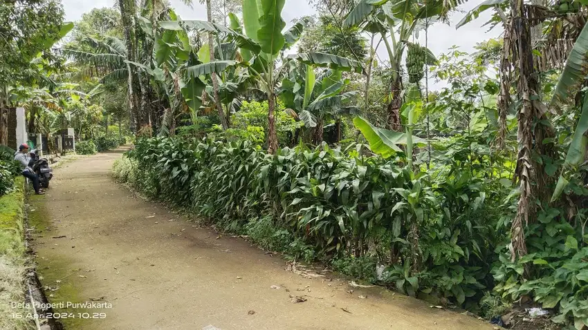 TANAH KEBUN  DIJUAL MURAH   UNTUK VILA, RUMAH, GUDANG DLL.