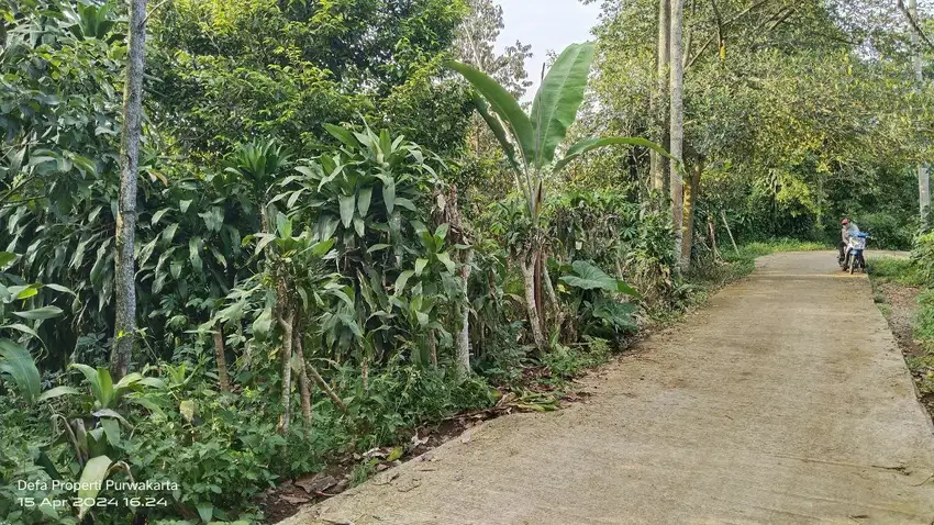 1 KM KE JL. UTAMA   3 KM KE GERBANG TOL  DURIAN, MANGGIS, PALA DLL