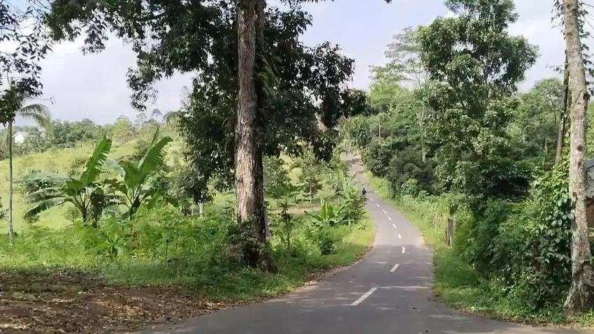 TANAH WANAYASA PURWAKARTA || 1600M².