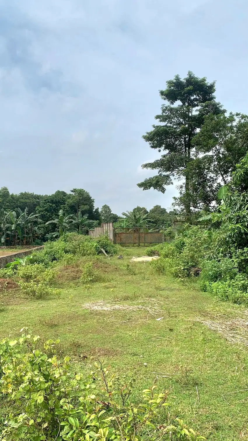 Dijual Cepat Tanah Cikeusal Serang Banten