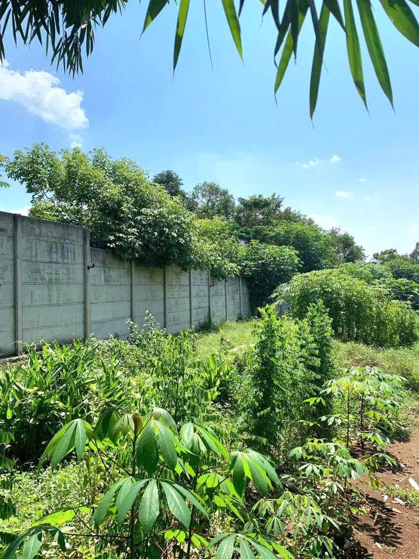 DIJUAL CEPAT TANAH CIKEUSAL SERANG BANTEN