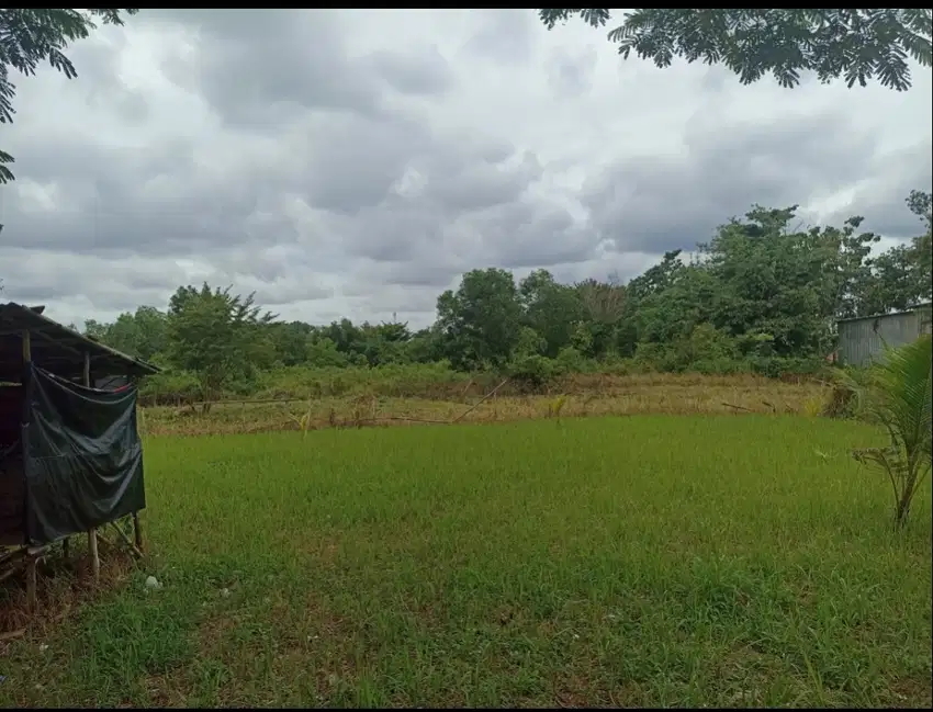 Dijual Tanah 600m2 Tanjung Barangan Palembang