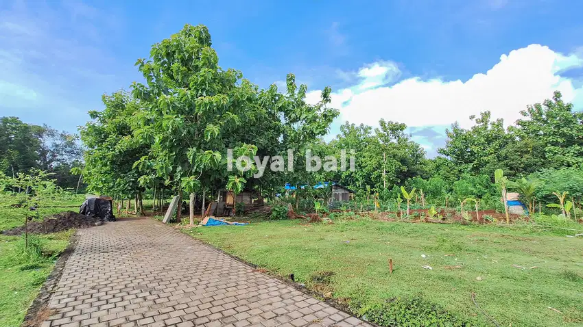 Tanah Siap Bangun di Lingkungan Asri, Kutuh – Bali