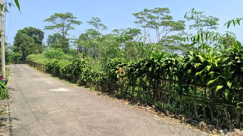 JUAL TANAH  KEBUN  SAMPING VILA