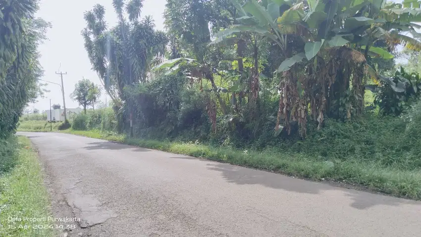 3 KM KE GERBANG TOL DARANGDAN || TANAH DI JL. RY. WANAYASA - BOJONG