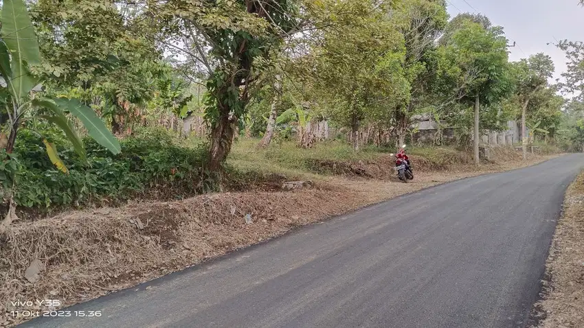 JUAL KEBUN DURIAN, MANGGIS, CENGKEH DLL DI KIARAPEDES PURWAKARTA