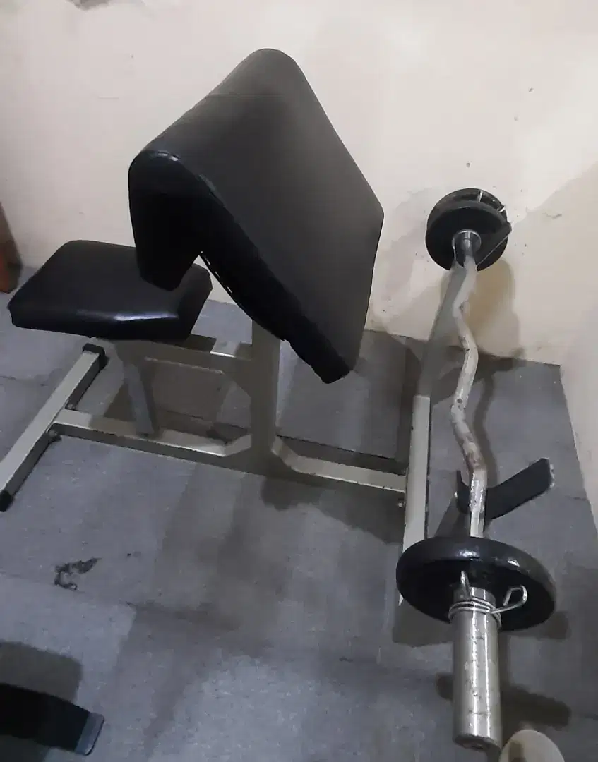 Alat gym bicep curl bench