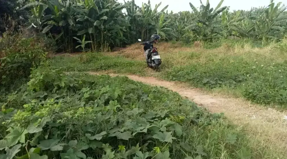 Tanah murah pinggir jalan raya cocok untuk bisnis dan  investasi