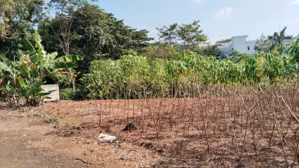 Dijual Lahan Murah Zona Industri di Citereup