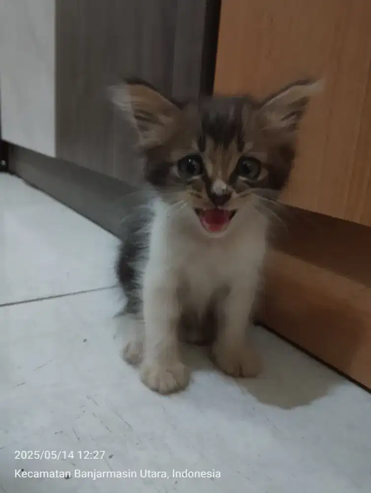 Mencari lowongan kerja