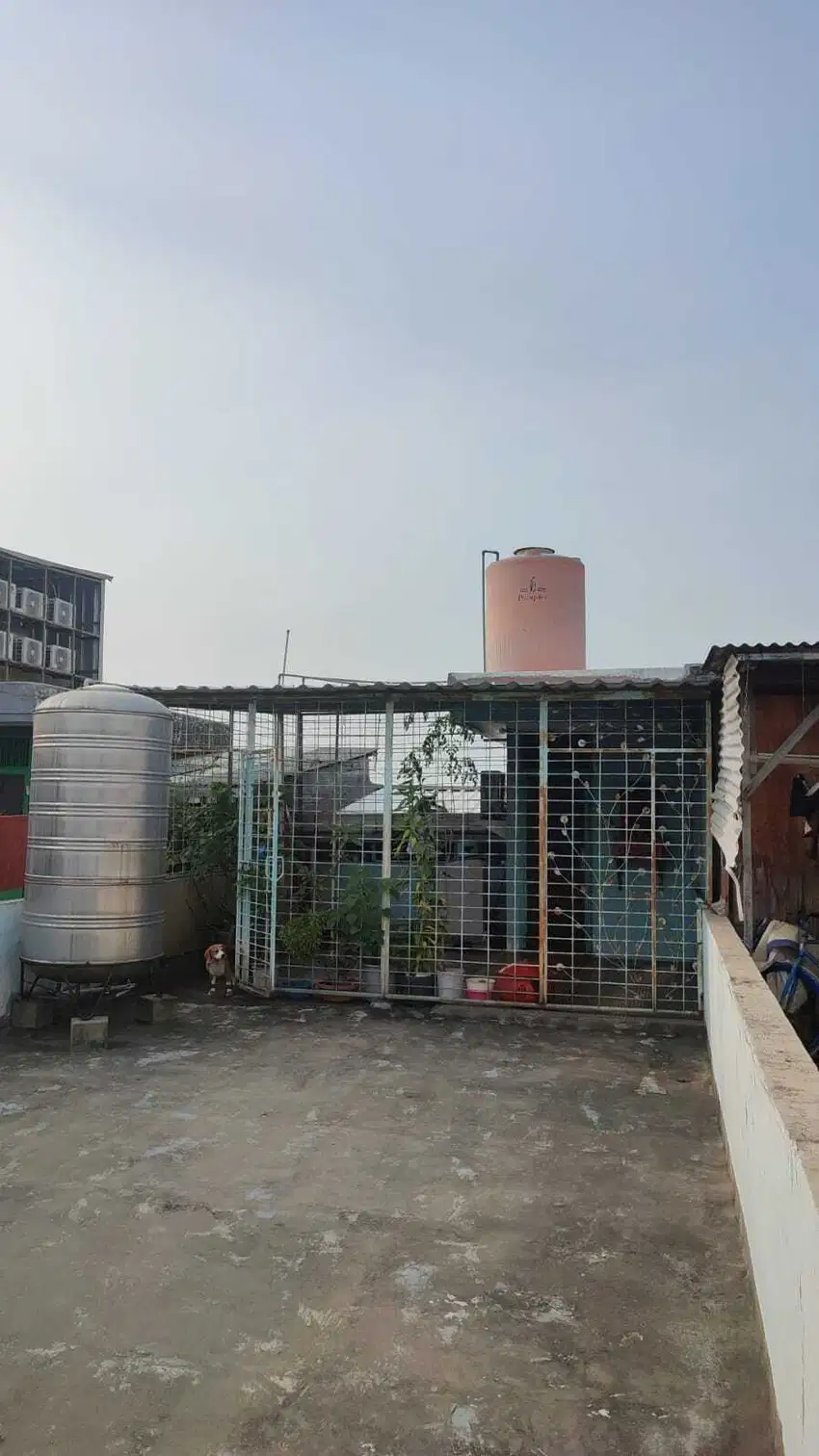 DIJUAL BU RUKO TAMAN PALEM LESTARI BOULEVAR