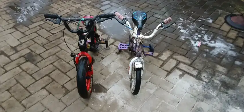 Sepeda Anak Bekas