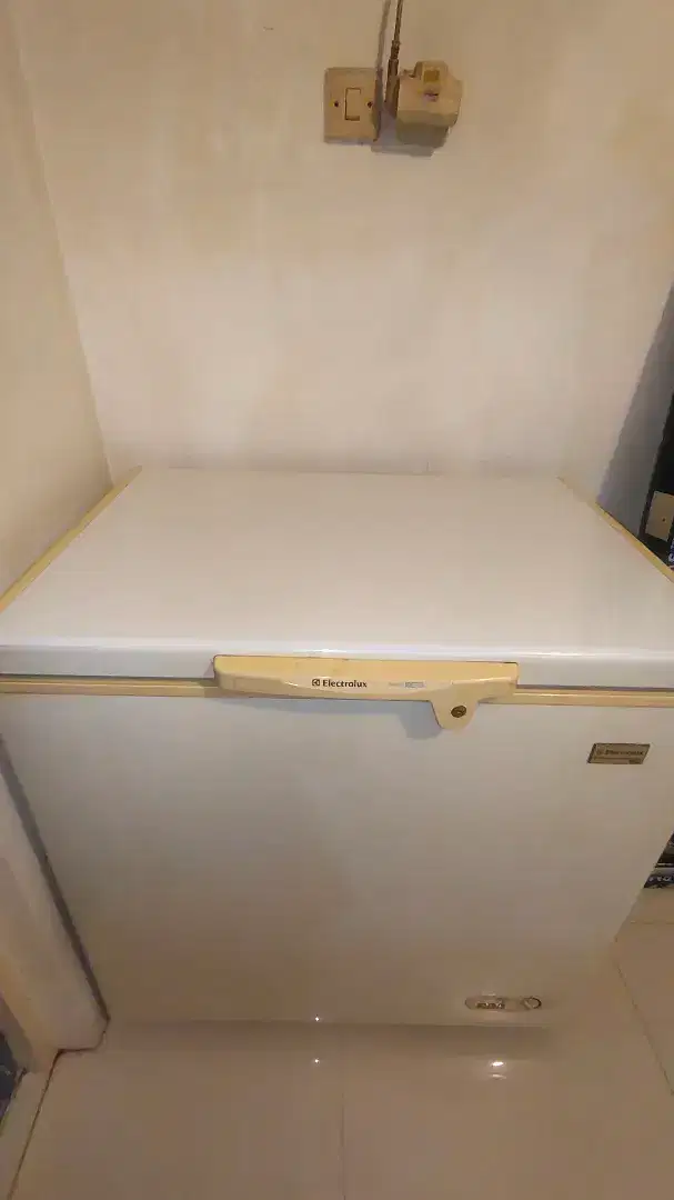 freezer electrolux